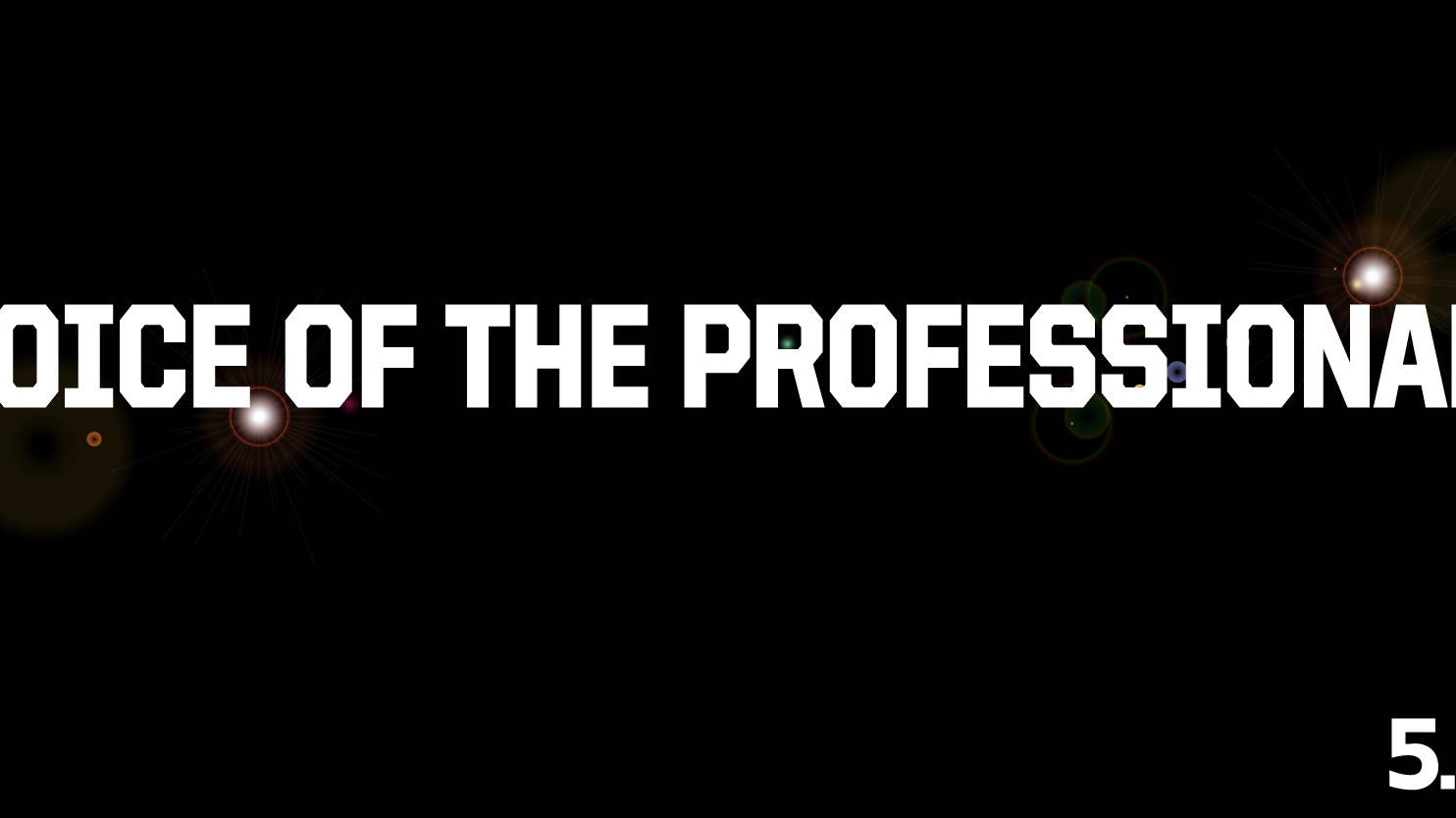 VOICE OF THE PROFESSIONALS Vol.2