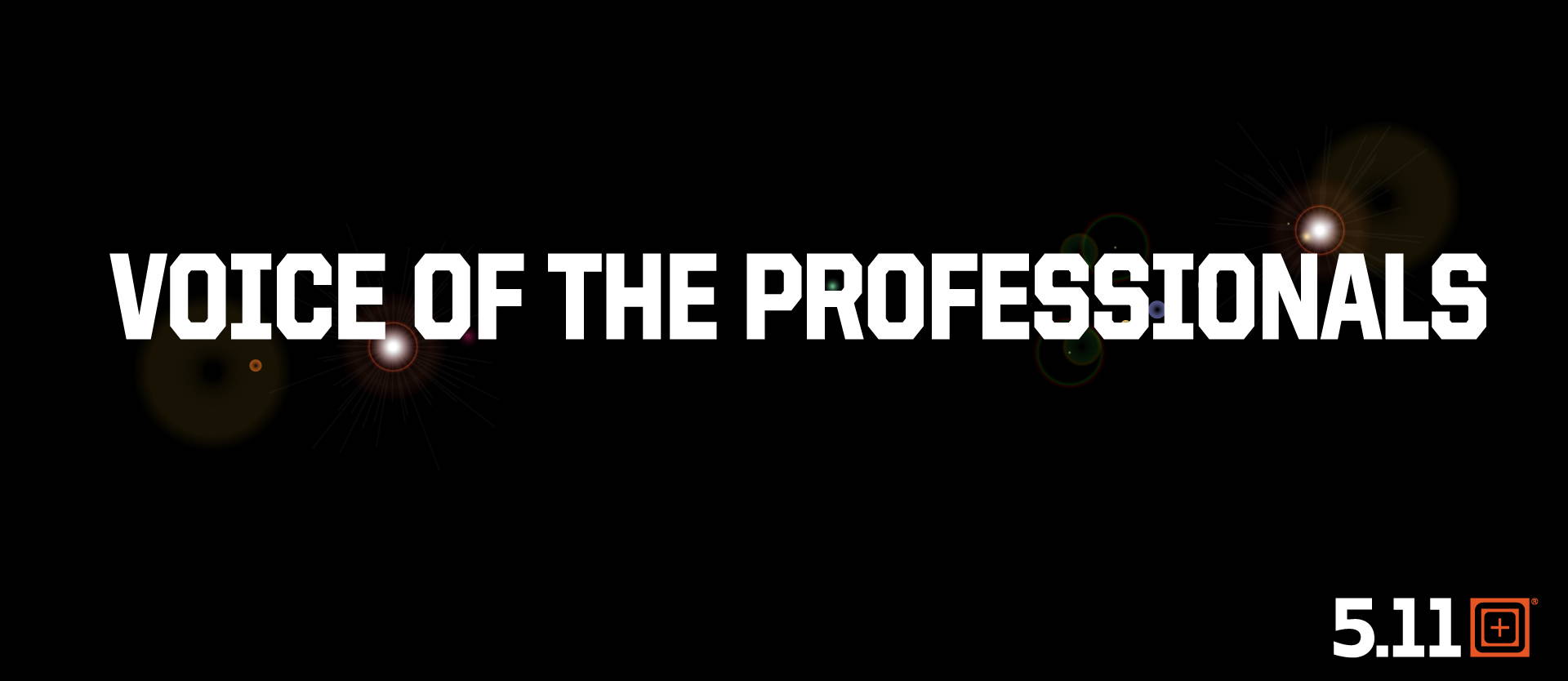 VOICE OF THE PROFESSIONALS Vol.2