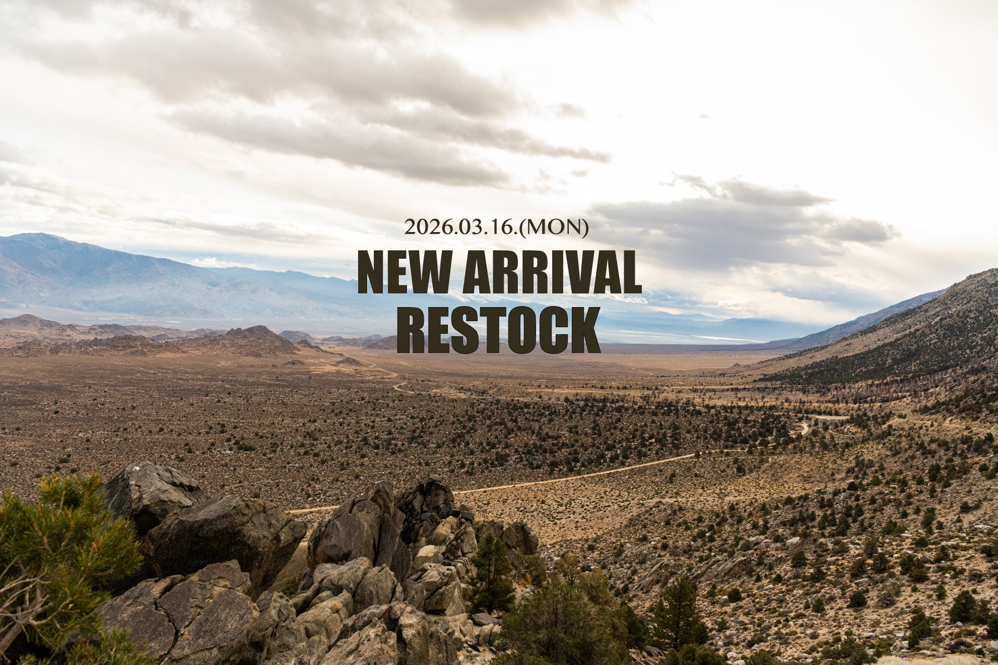 NEW & RESTOCK 2026 MAR